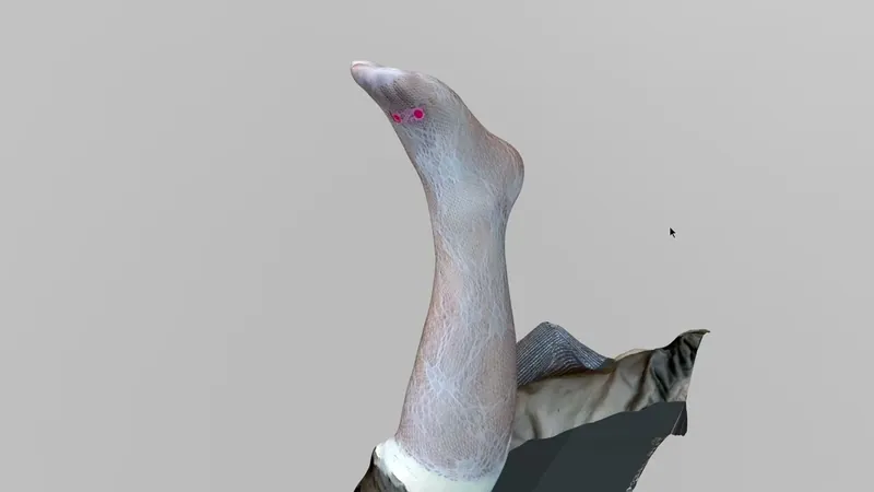 3D-Scan-Ergebnis: Fuß und Unterschenkel, von einer zweiten Person gescannt